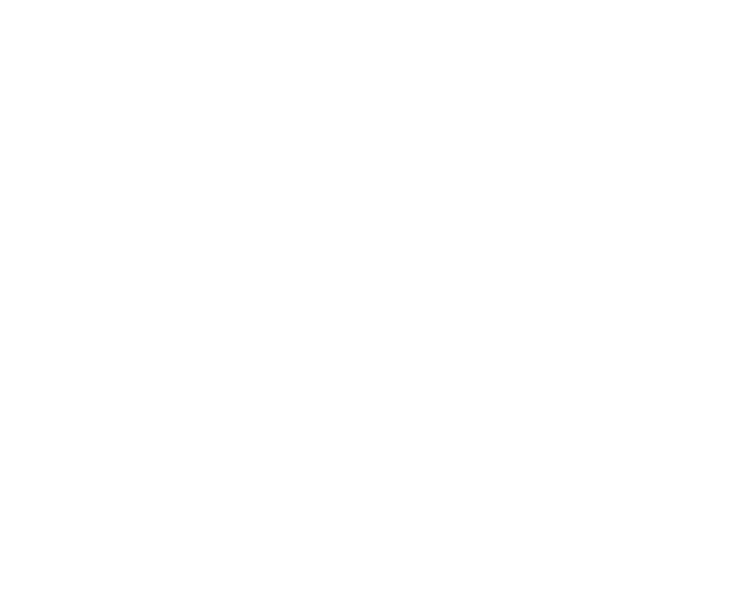 Application - FRINGE ITALIA OFF